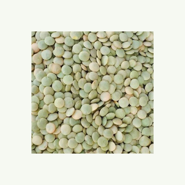 Green lentils grade a top quality green lentils price from Canada