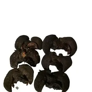 Fresh African Giant Snails/Processed Alive Frozen Dried Fresh Snails for sale