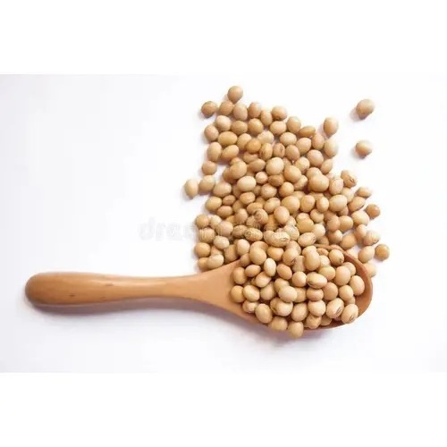 Good Rates Non GMO Pure Natural Poultry Feed Mixing Animal Food Raw Grain Organic Soya Beans For Sale