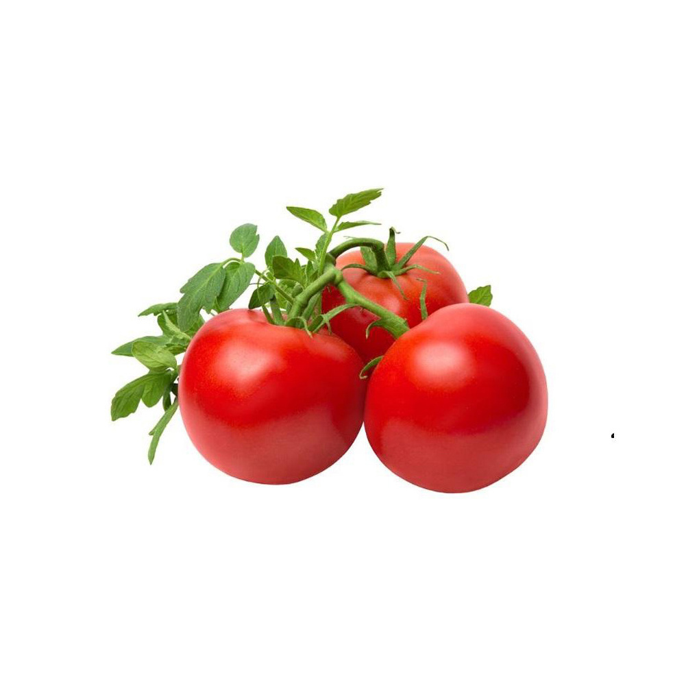 fresh tomatoes sweet mediterranean red tomatoes for sale red style packaging seeds f1 red hybrid tomato seed