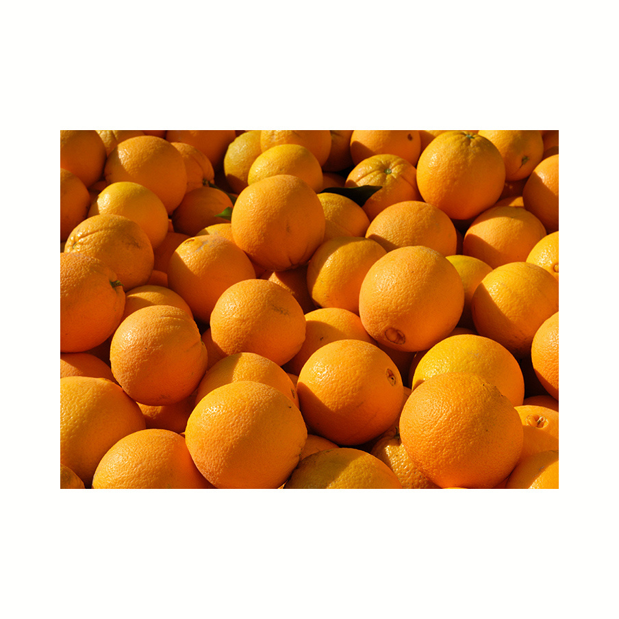 Fresh Orange for fruit juice