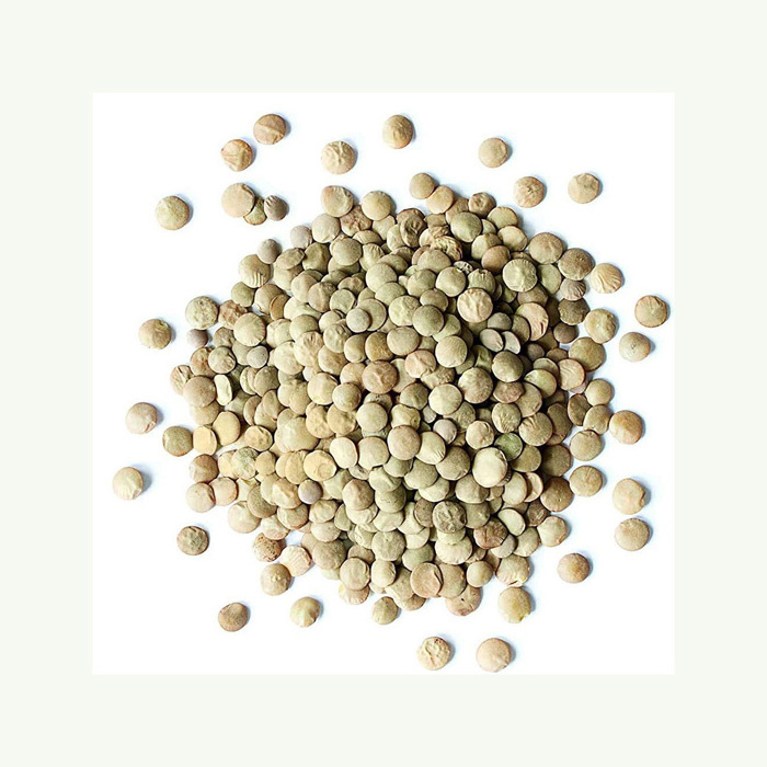 Green lentils grade a top quality green lentils price from Canada