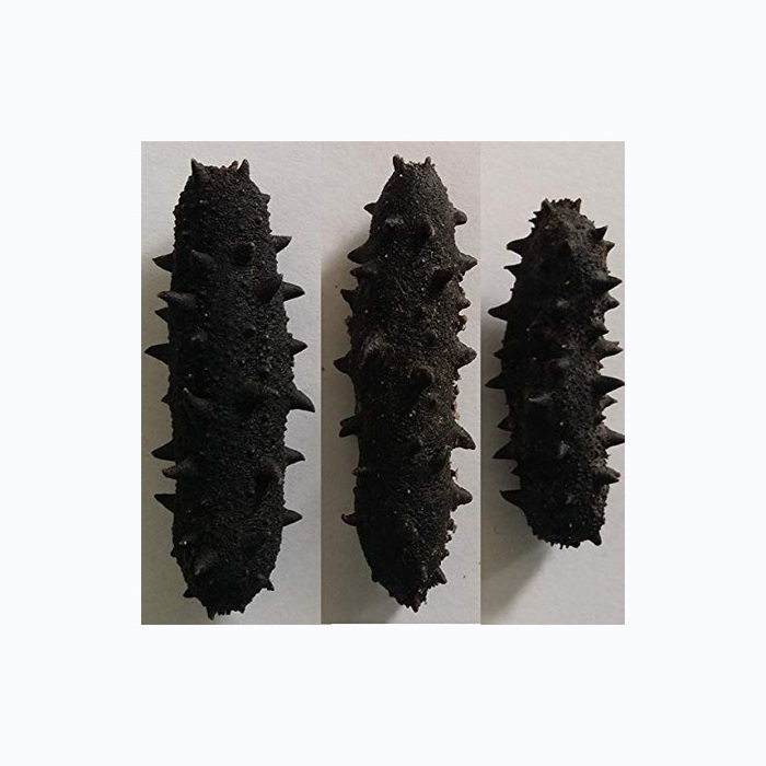 Freezing Process Iqf Frozen Sea Cucumber Price Cheap Value High Sea Cucumber