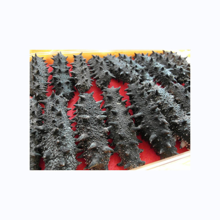 Freezing Process Iqf Frozen Sea Cucumber Price Cheap Value High Sea Cucumber