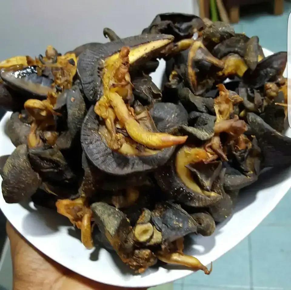 Frozen land raised high nutritious African giant snail meat for sale cheap prices