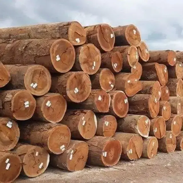 High Quality Round Teak Wood, Tali Wood, Padouk, Pine, Boxwood, Azobe Wood and Timber Logs Canada