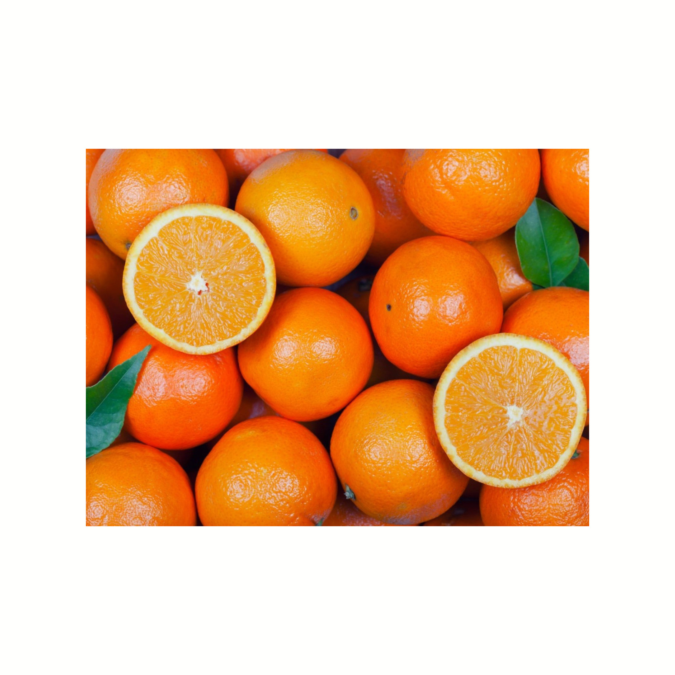 Fresh Orange for fruit juice