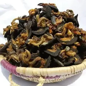 Frozen land raised high nutritious African giant snail meat for sale cheap prices