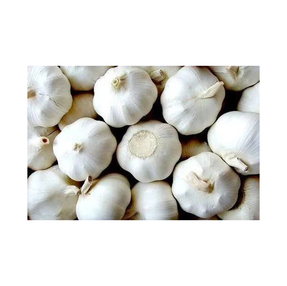 Garlic pure white garlic top grade snow white wholesale new crop fresh white garlic