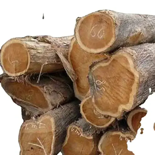 High Quality Round Teak Wood, Tali Wood, Padouk, Pine, Boxwood, Azobe Wood and Timber Logs Canada