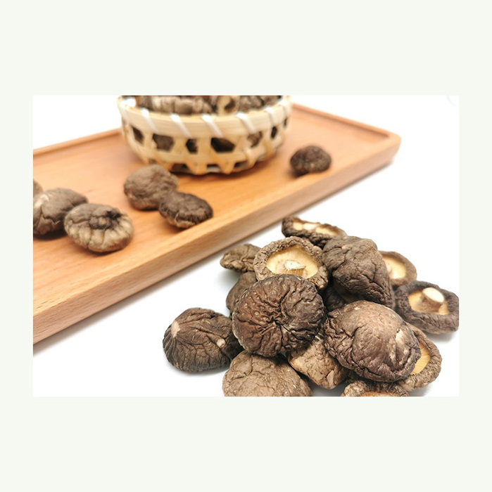 Healthy Food Dry Vegetables Bulk Dried Mushroom