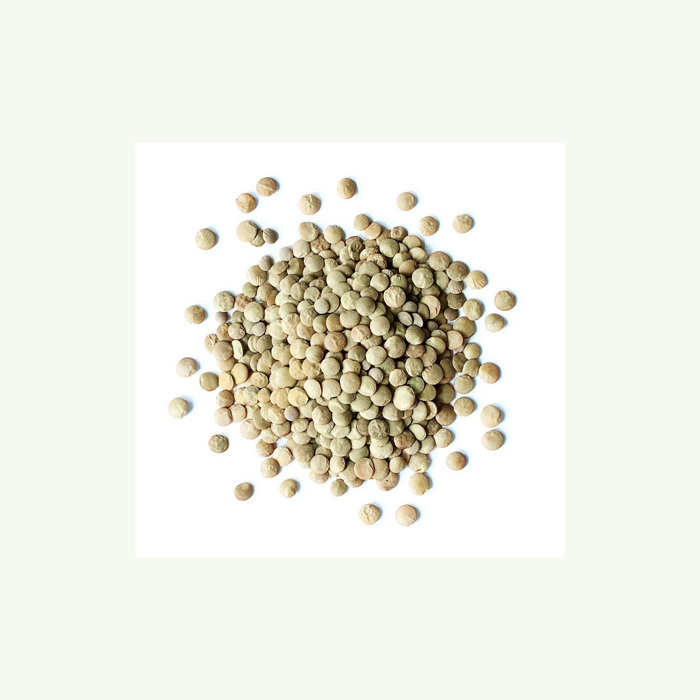 Green lentils grade a top quality green lentils price from Canada