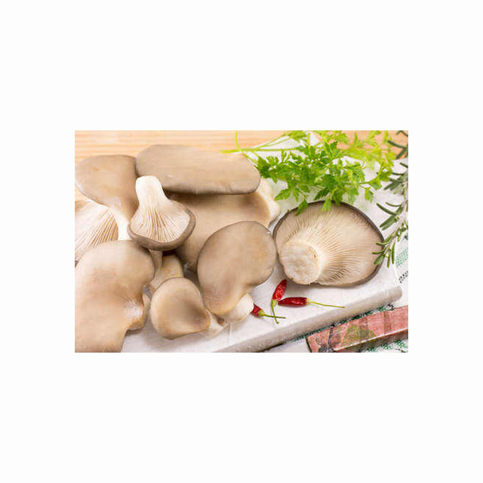 Healthy Food Dry Vegetables Bulk Dried Mushroom