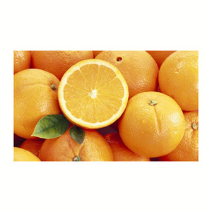 Fresh Orange for fruit juice