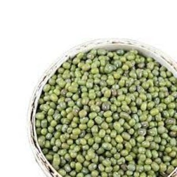 Delicious And Fresh green mung beans For Cooking