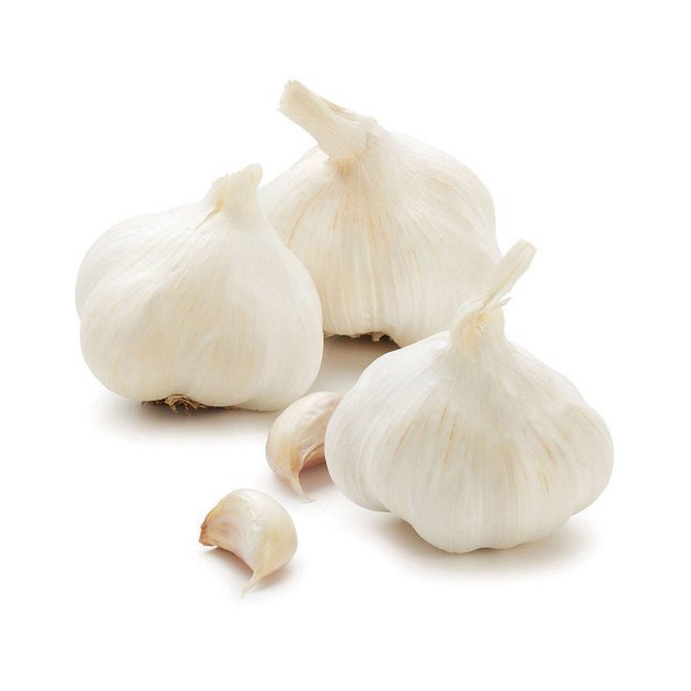 Garlic pure white garlic top grade snow white wholesale new crop fresh white garlic