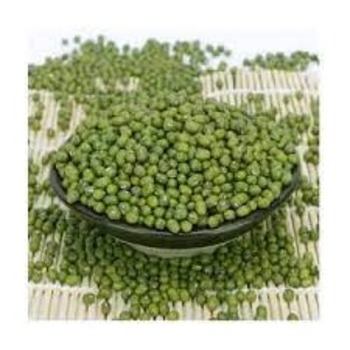 Delicious And Fresh green mung beans For Cooking