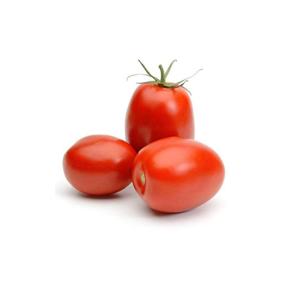 fresh tomatoes sweet mediterranean red tomatoes for sale red style packaging seeds f1 red hybrid tomato seed