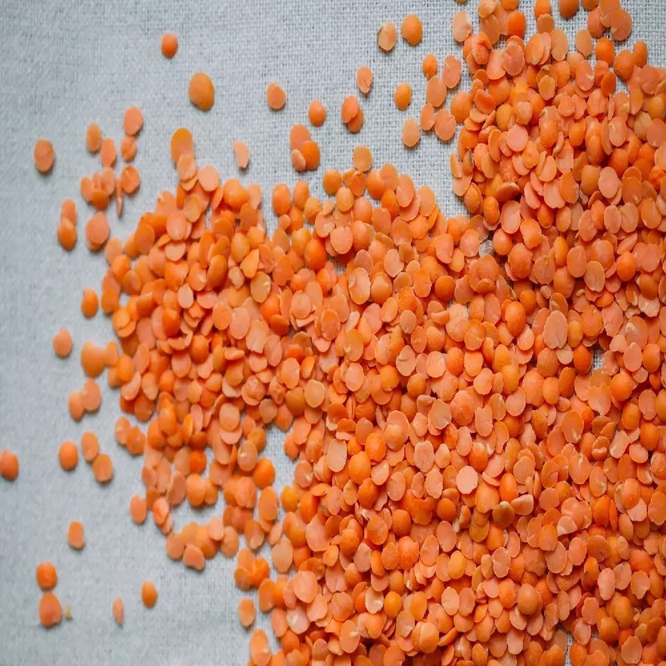 Best Quality Red Lentils Whole Lentils Split Lentils Best Price Masoor Dal