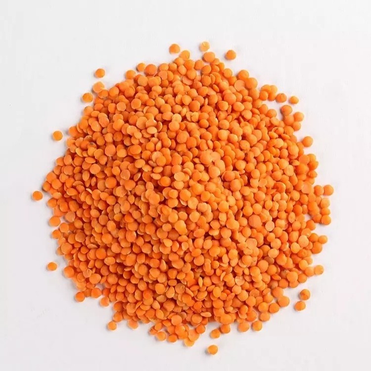 Best Quality Red Lentils Whole Lentils Split Lentils Best Price Masoor Dal