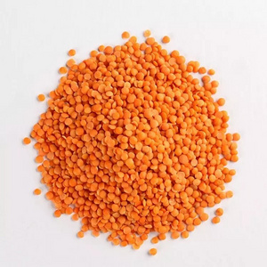 Best Quality Red Lentils Whole Lentils Split Lentils Best Price Masoor Dal