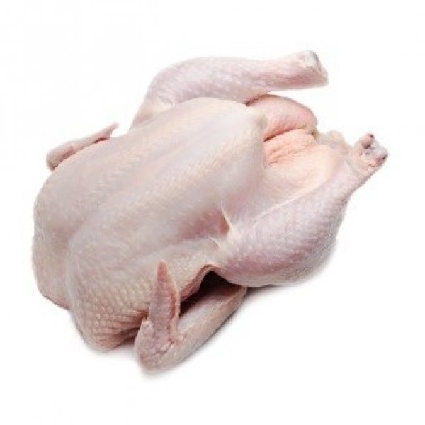 Good Price Bulk Frozen Chicken Feet/ Paws/ Chicken Breast/ Whole Chicken Halal