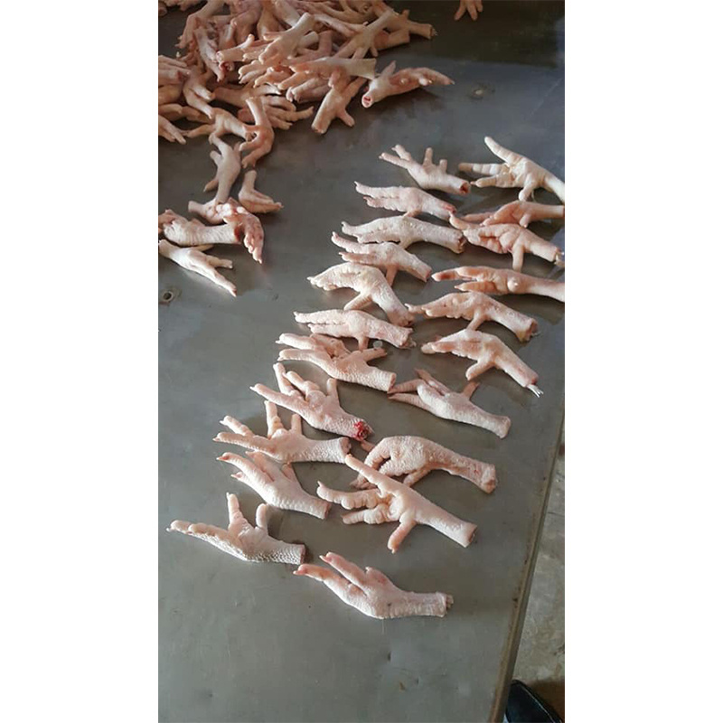 Brazil Halal Frozen whole chicken Clean whole frozen chicken for sale /chicken paw /chicken feet