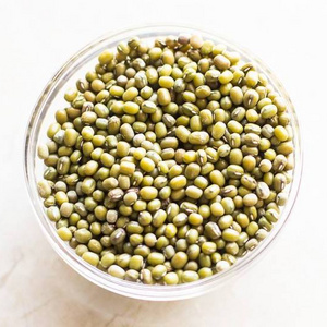 100% 2021 wholesale Green mung beans for sprouting