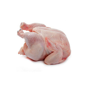 Brazil Halal Frozen whole chicken Clean whole frozen chicken for sale /chicken paw /chicken feet