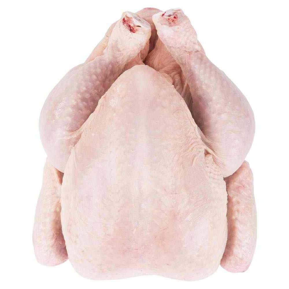 Good Price Bulk Frozen Chicken Feet/ Paws/ Chicken Breast/ Whole Chicken Halal