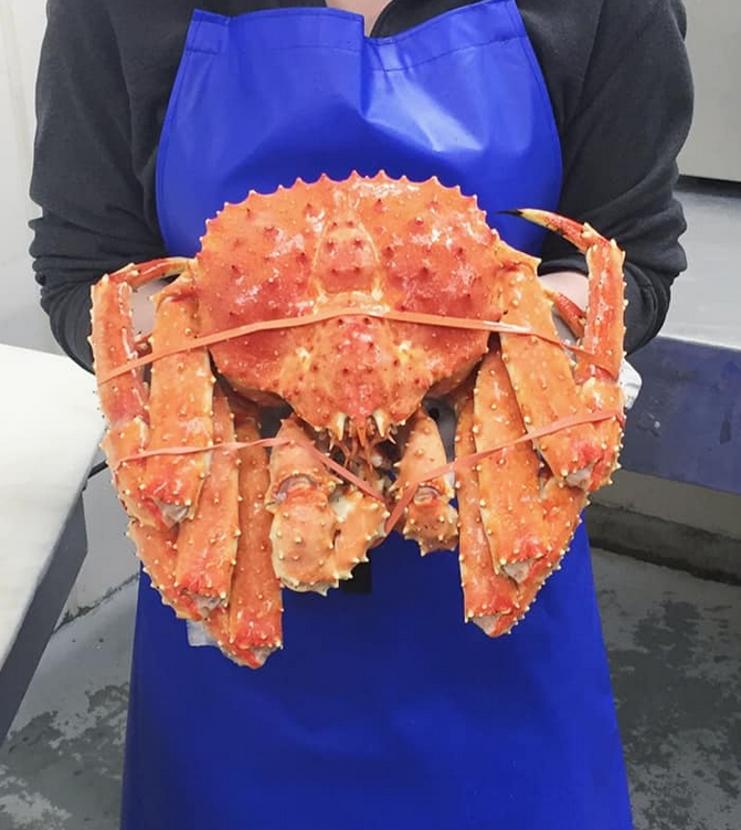 Best Red King Crab And Swimming Crab Available