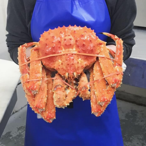 Best Red King Crab And Swimming Crab Available