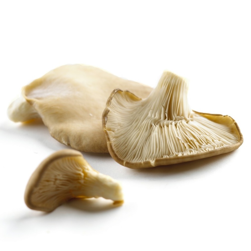 Top Quality Flower Mushroom,2021 Top Dried Shiitake Mushroom