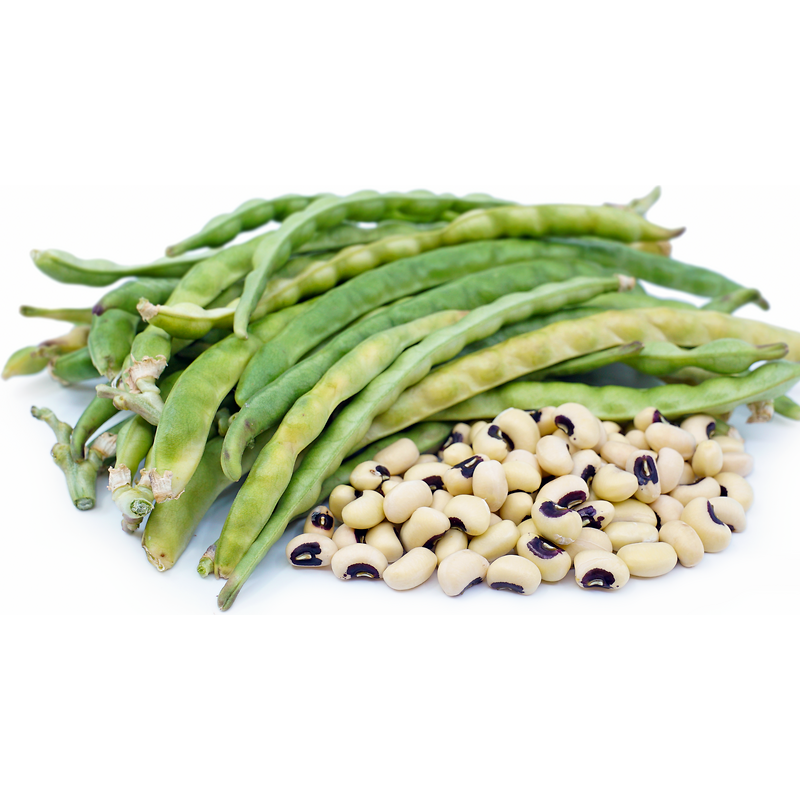 Peas New Green Peas Wholesale IQF Frozen Pea Bean