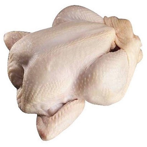 Good Price Bulk Frozen Chicken Feet/ Paws/ Chicken Breast/ Whole Chicken Halal