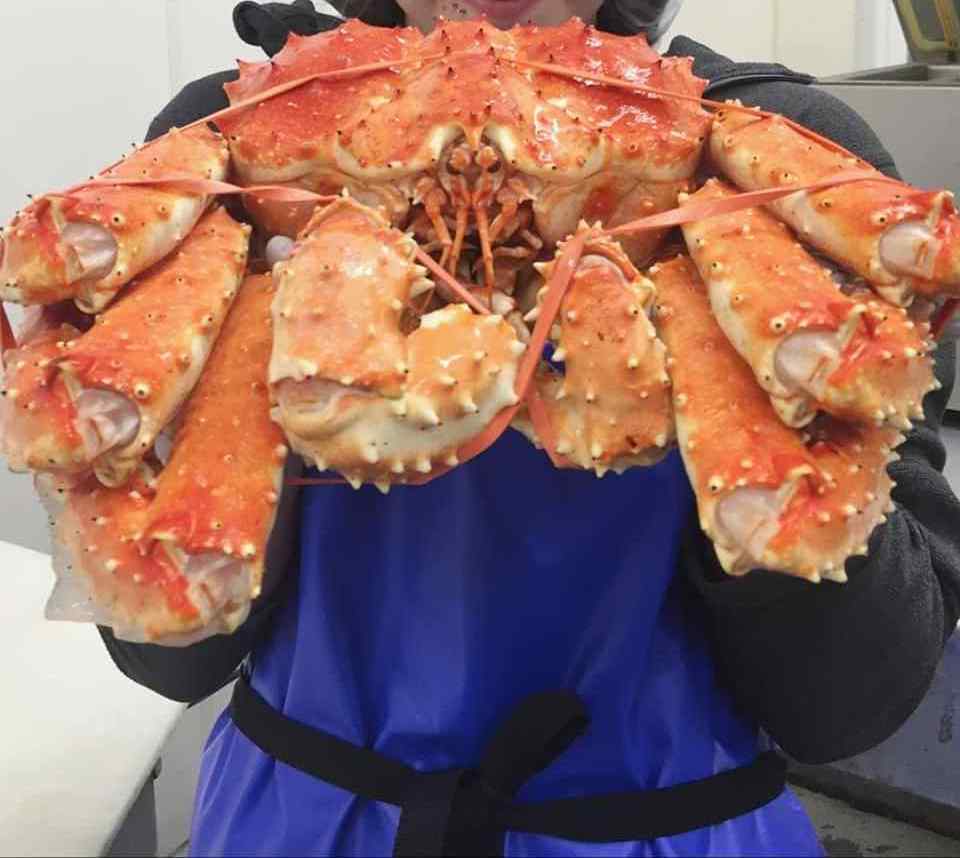 Best Red King Crab And Swimming Crab Available