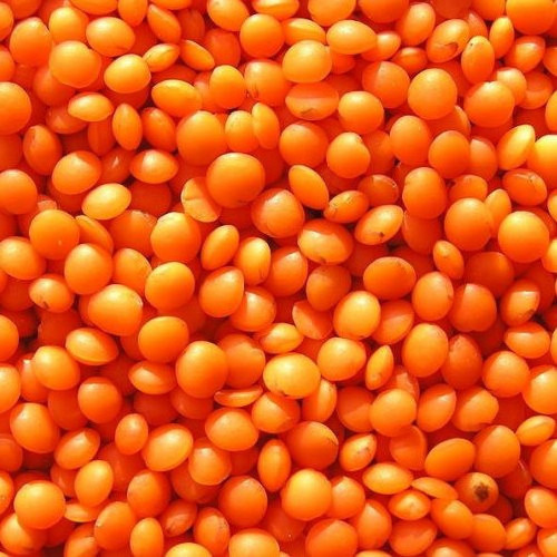 Quality Green Lentils, Crimson Lentils for Sale, Red Lentils Price with 2 Years Shelf Life 25/50 KG PP Bag Red Spilt Football