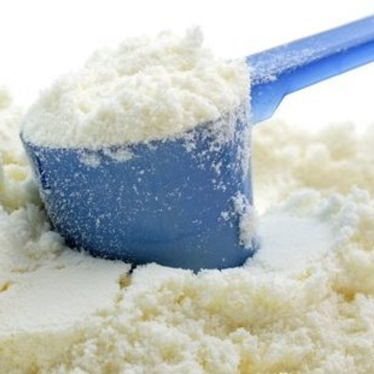 Full Cream Milk Powder / Skimmed Milk best Price / Sweet Whey Powder