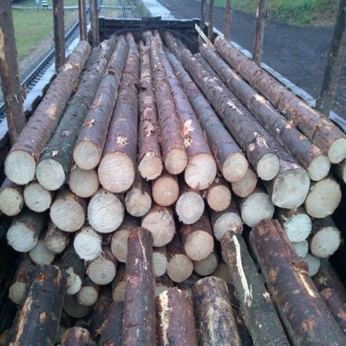 Cheap Pine / Timber / Eucalyptus / Birch /beech / teak / oak Wood Logs for sale with worldwide delivery