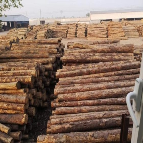 Cheap Pine / Timber / Eucalyptus / Birch /beech / teak / oak Wood Logs for sale with worldwide delivery