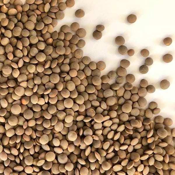 Top Quality Best price export green red Lentils( Masoor Dal)