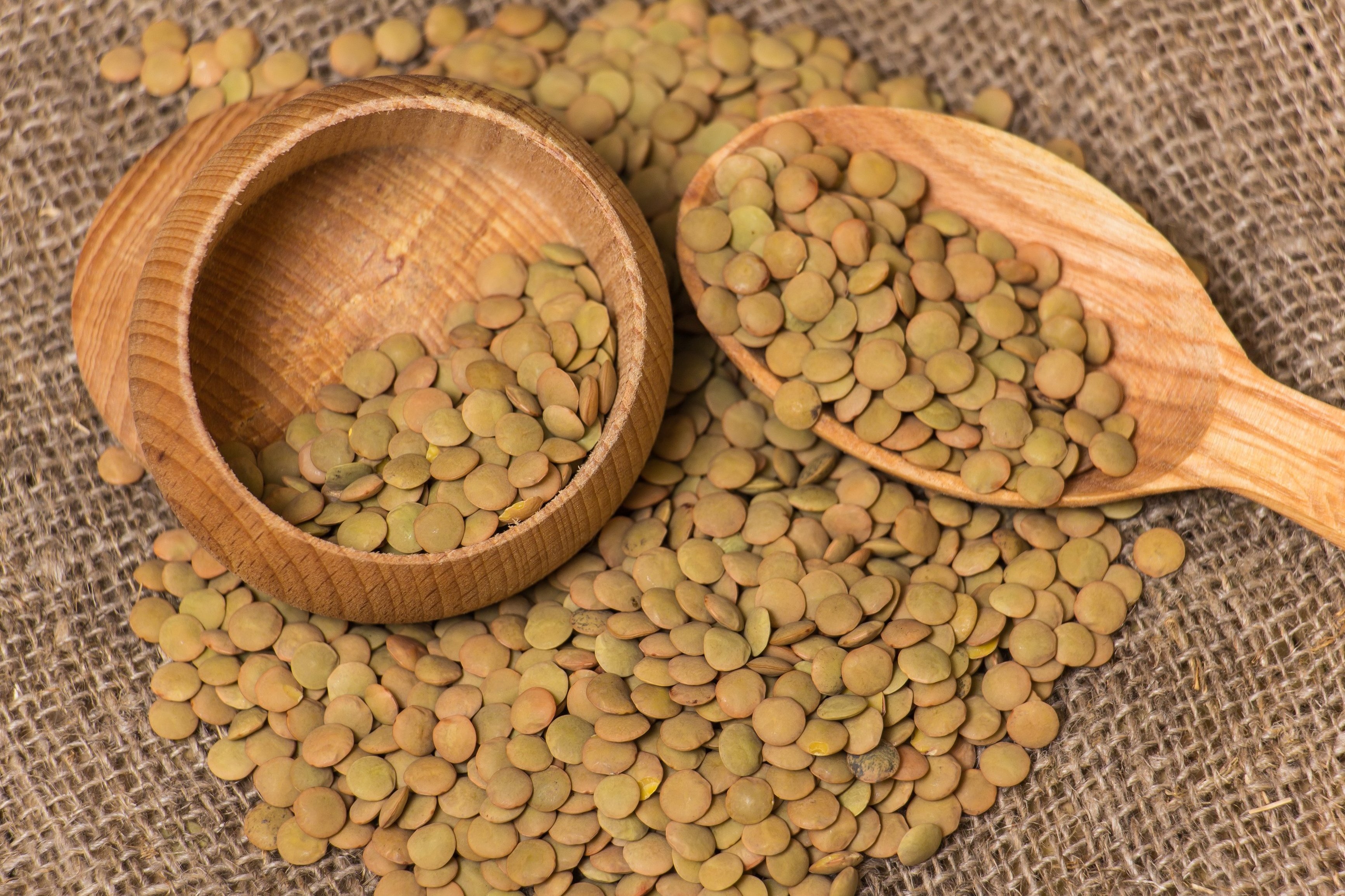 Top Quality Best price export green red Lentils( Masoor Dal)