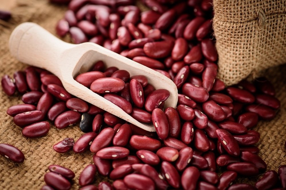 Bulk Red Kidney beans/ white kidney beans