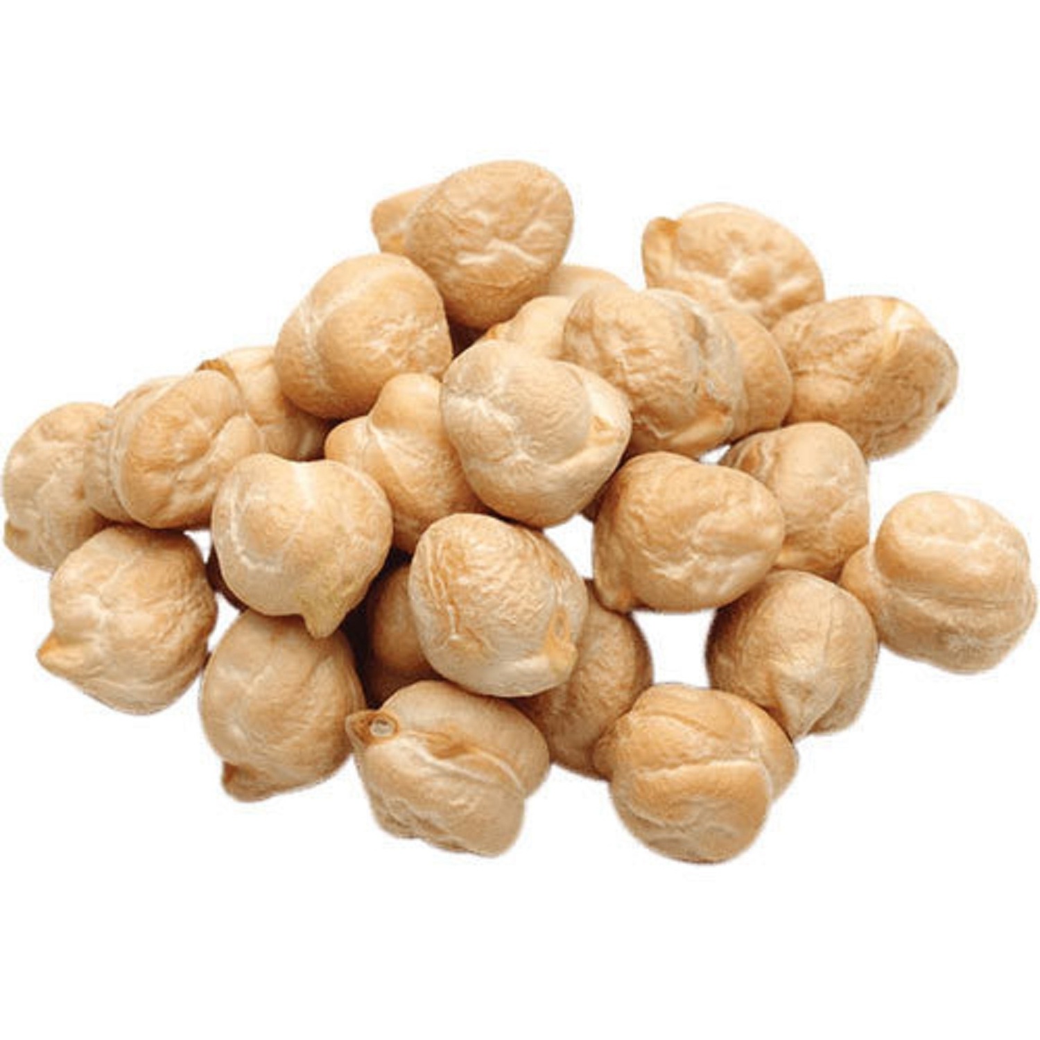 Wholesale Chickpeas for Sale Dried Raw 7mm 8mm 9mm 10mm 11mm 12mm Max Bag White Original Crop Bulk.