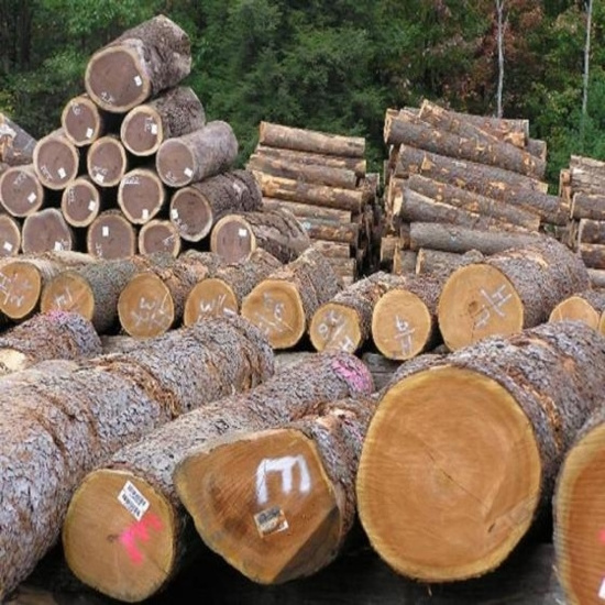 High Quality Round Teak Wood, Tali Wood, Padouk, Pine, Boxwood, Azobe Wood and Timber Logs