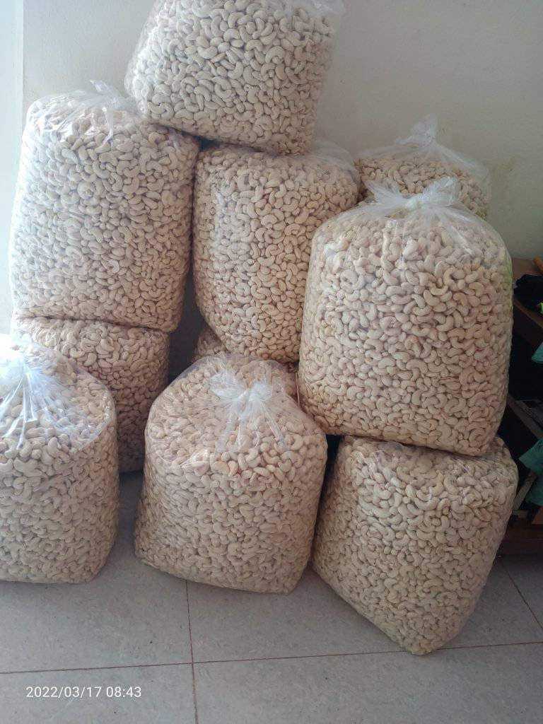 Roasted Salted Cashew Nuts W240 - 11.34kg from Vietnam, Bulk quantity available and Good prices