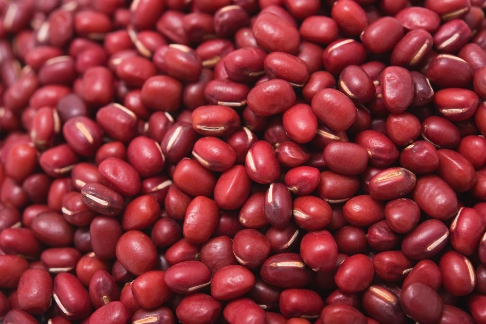 Bulk Red Kidney beans/ white kidney beans