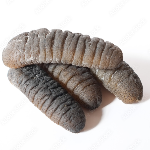 Seafood Factory Tubular Sea Cucumber/ High Quality Dried Tubular Sea Cucumber Price/ Buy Wholesale Dried Wild Sea Cucumber Price