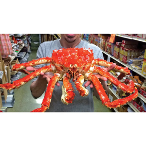 Wholesale Fresh Red King Crab Fresh Frozen Live Red King Crabs Soft Shell Crabs