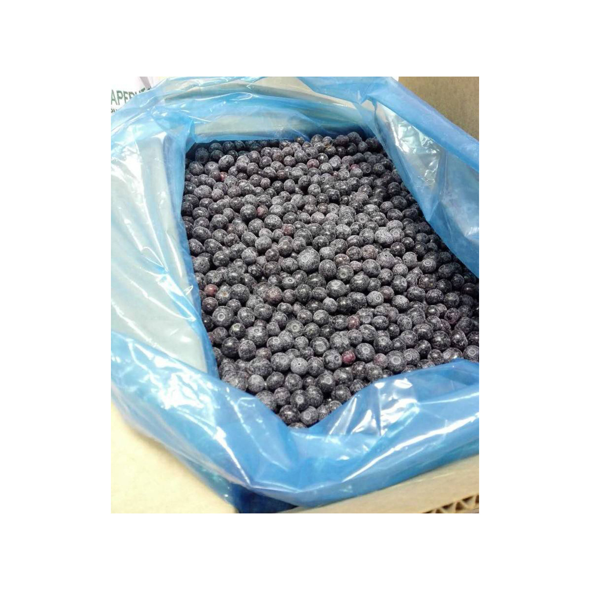 100 Natural Organic Best Price For Frozen IQF Blueberry